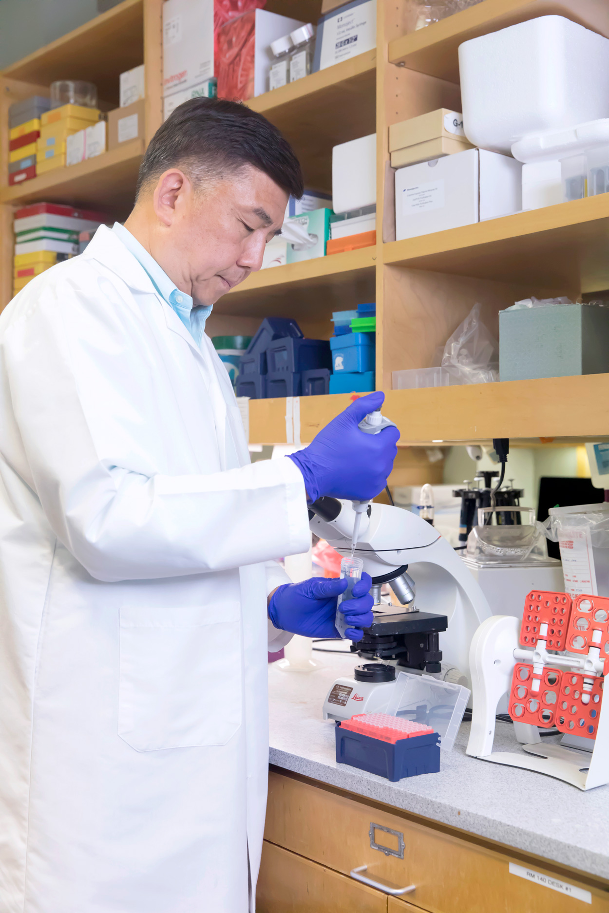 <em>Left:</em> Ostrow scientists study mouse skull models to learn how to better treat congenital craniofacial birth defects. <em>Right:</em> Professor Yang Chai conducts research investigating how certain genes may function during craniofacial development. | NATE JENSEN