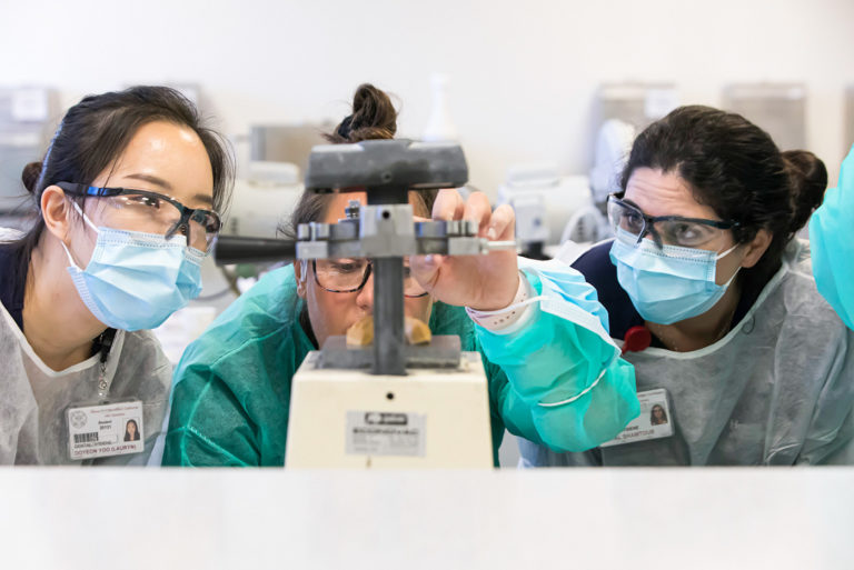 Dental students in a lab