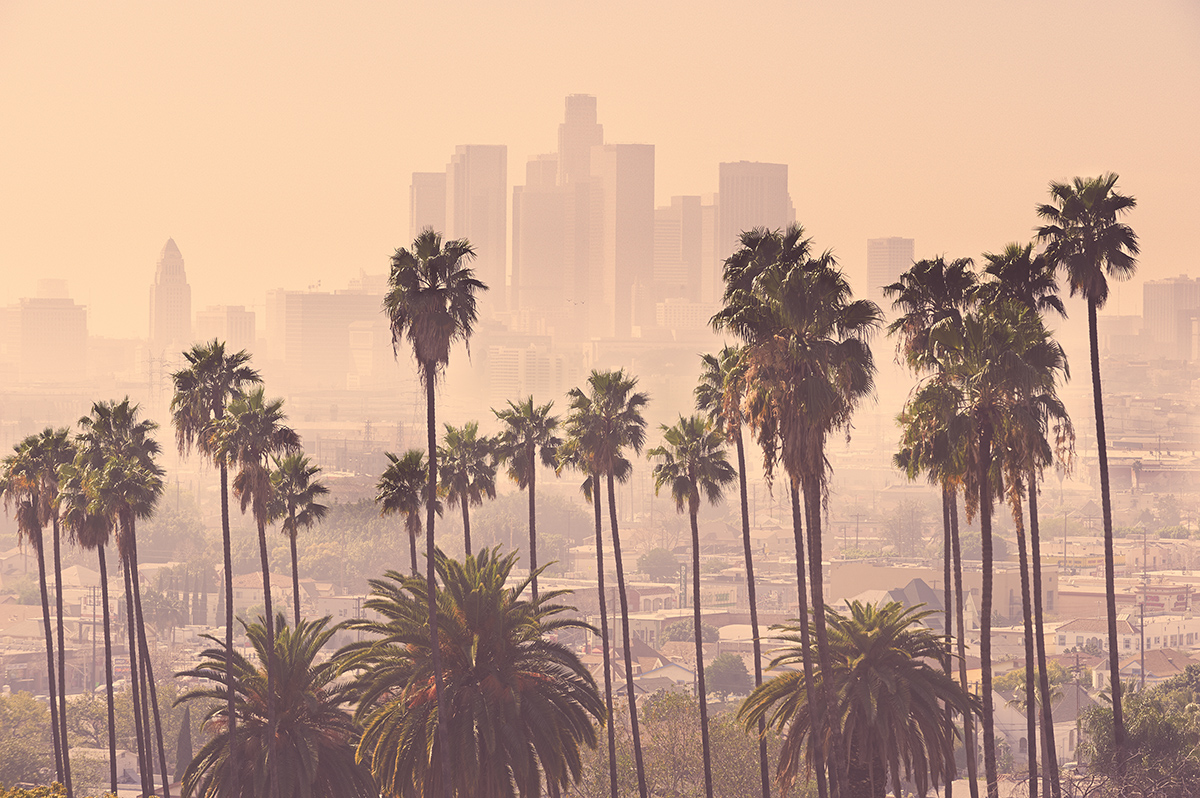 Palm Trees and Los Angeles skyline covered in smog