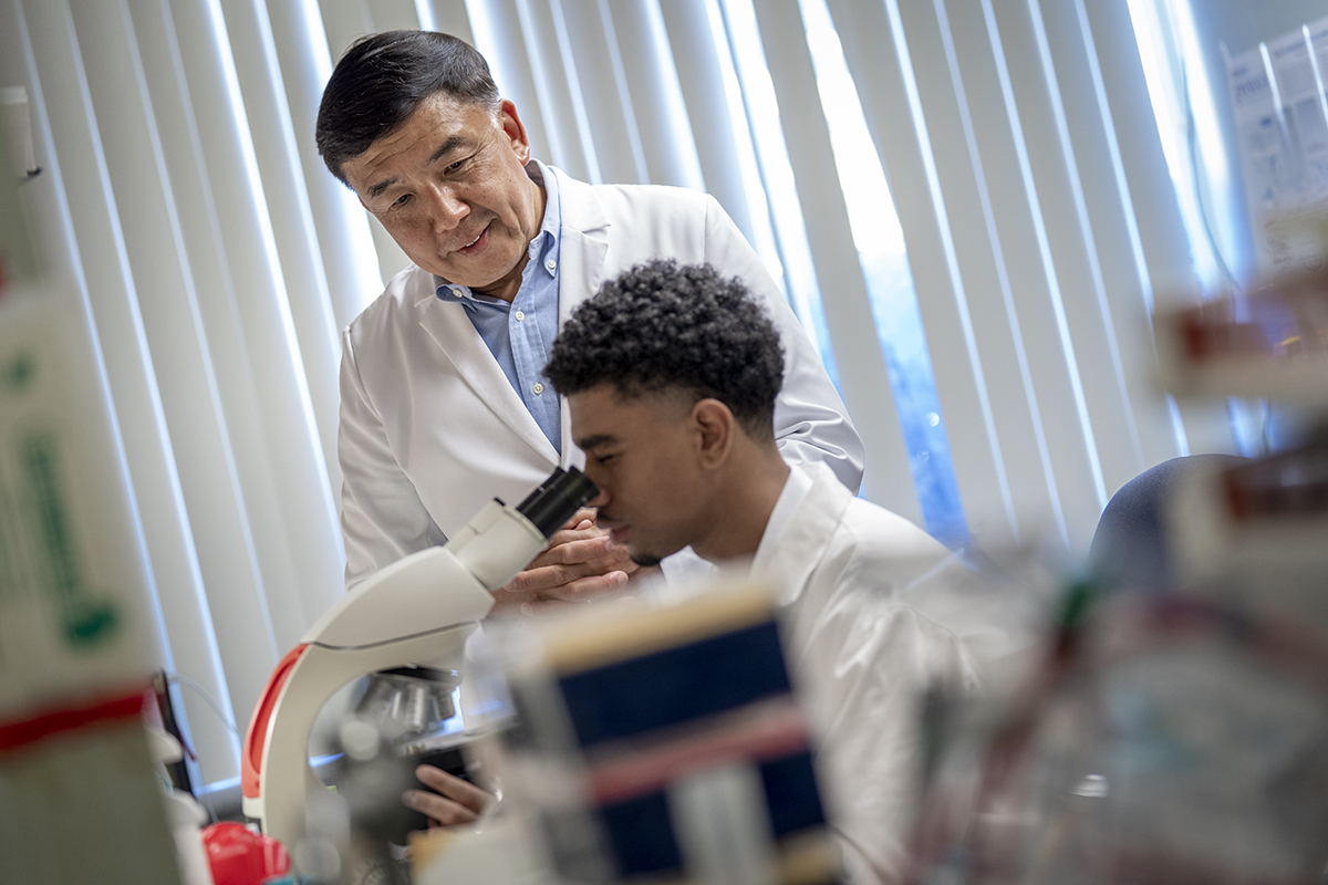 Dr. Yang Chai and student looking over a microscope in lab