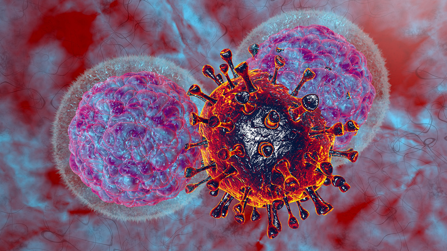 immunity cells art